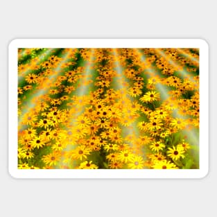 Field of Dreams Sticker